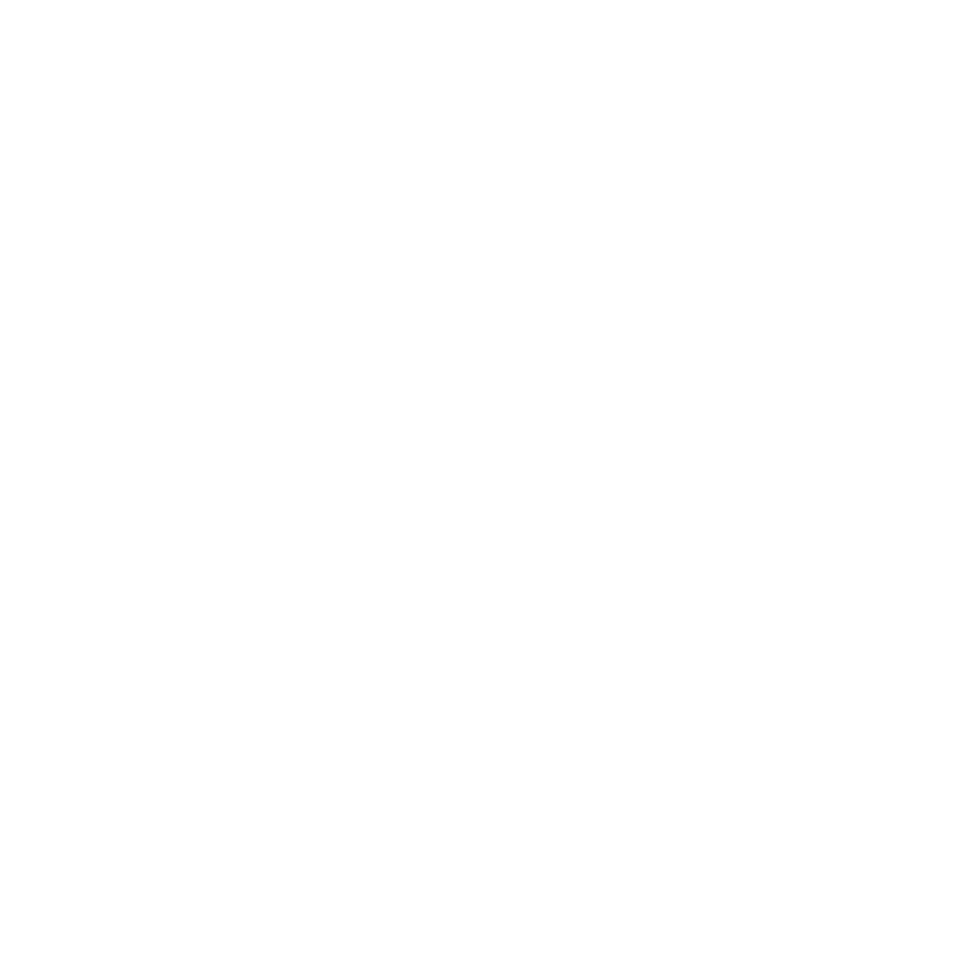 Voluntario-a
